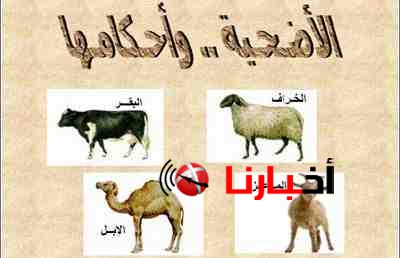 شروط قبول الاضحية