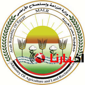وظائف خالية في الهيئة العامة للتعمير والتنمية الزراعية