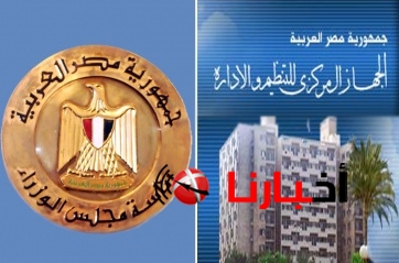 وظائف التنظيم والإدارة