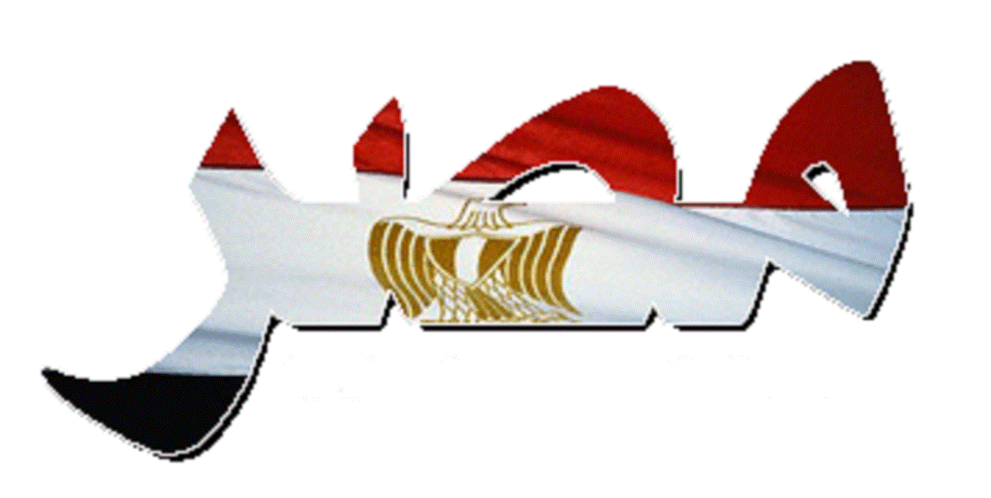 ارقام حملة صبح على مصر