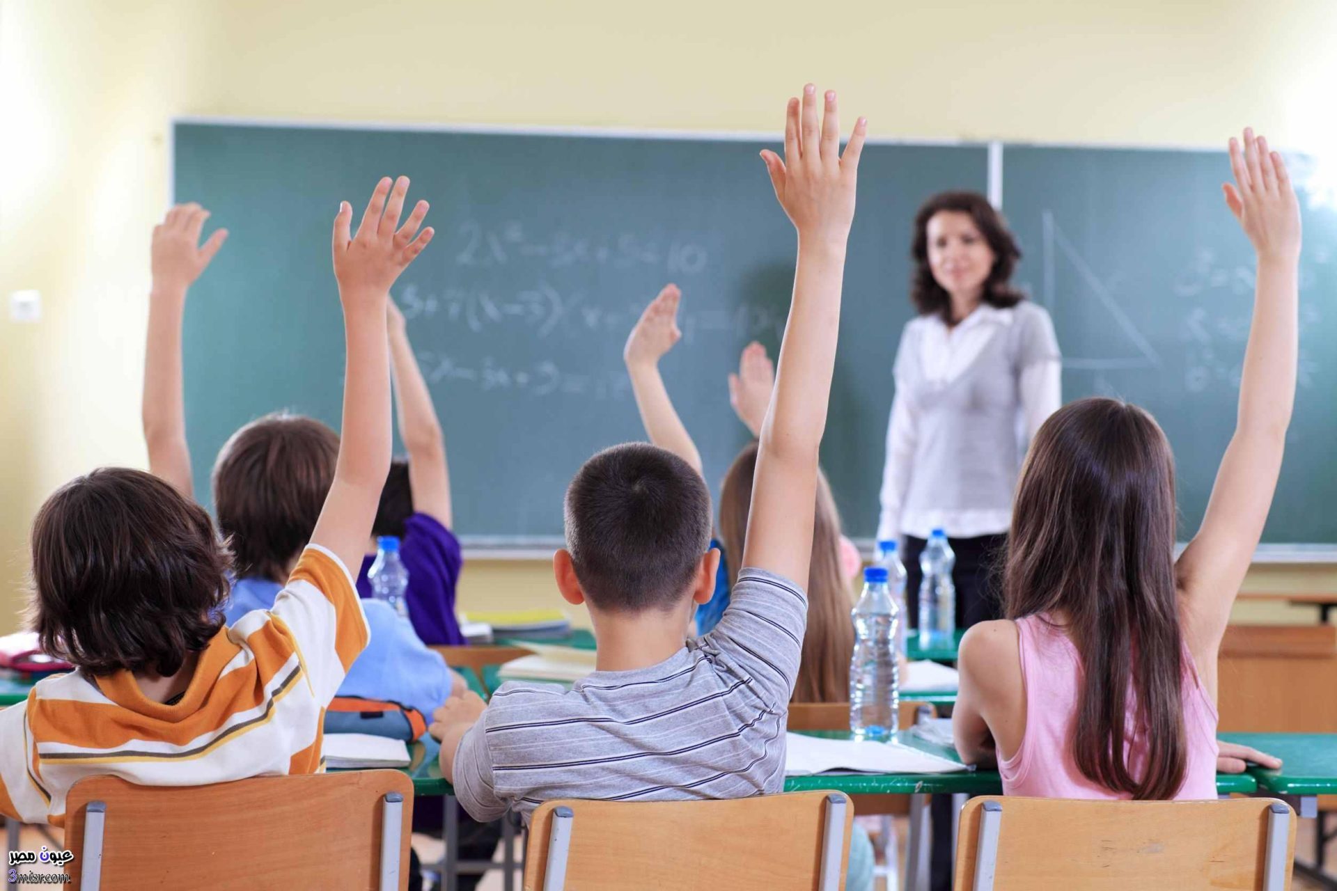 نتيجة امتحان الشهادة الابتدائية محافظة الجيزه