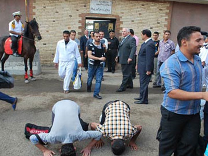 اخبار مصر اليوم
