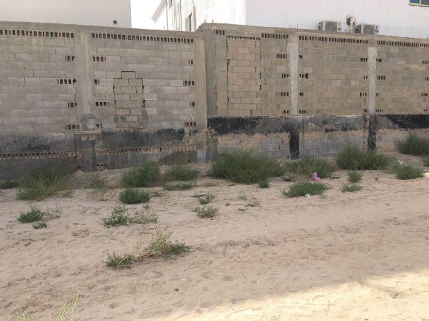 ريم الرشيدي