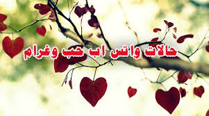 حالات واتس اب عن عيد الحب
