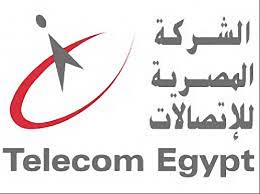 الموقع الاولكترونى