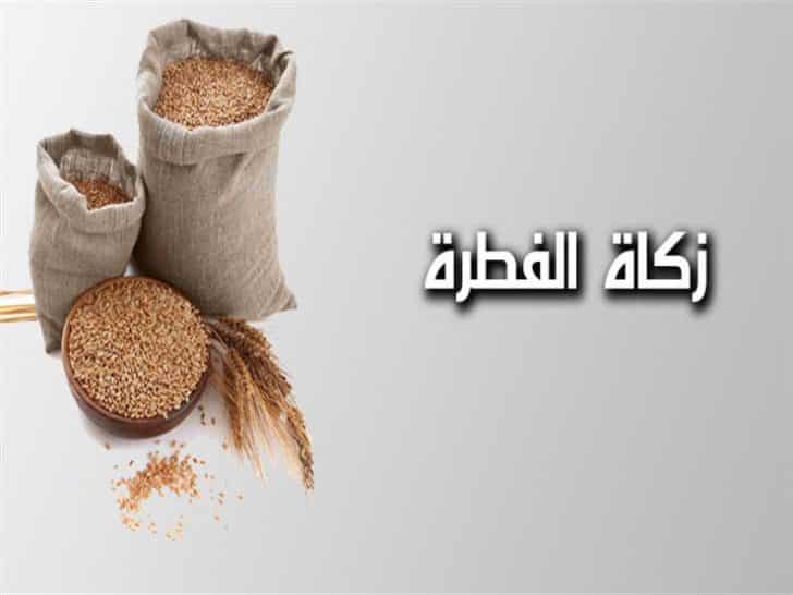 الأفتاء : قيمة زكاة الفطر المبارك